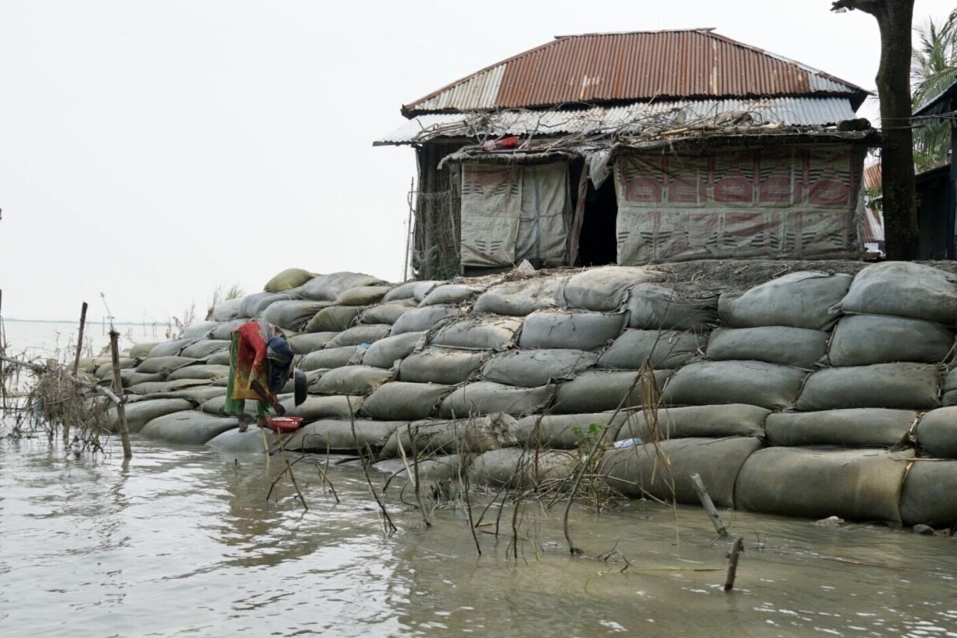 Climate distress: Disasters linked to mental health impacts
