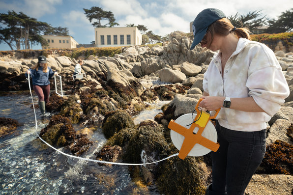 Research outside Hopkins